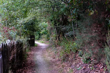 Parc Jozereau de Pessac (6).
